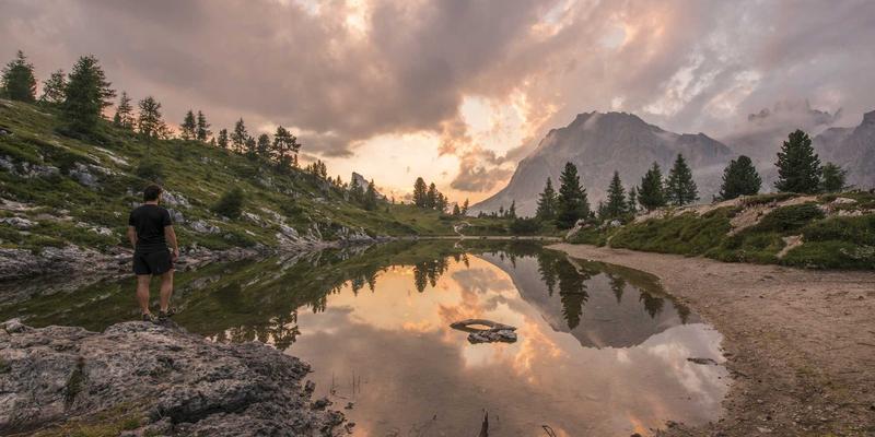河南黄山千年树语：探秘古银杏与珍稀树种的生命史诗，解锁深度生态之旅
