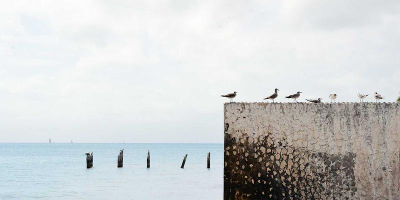 河南黄山地质奇观深度解析：花岗岩峰林的形成与演变之谜