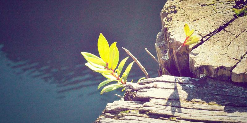 河南黄山摄影全攻略：解锁隐藏机位与光影魔法，拍出大片感