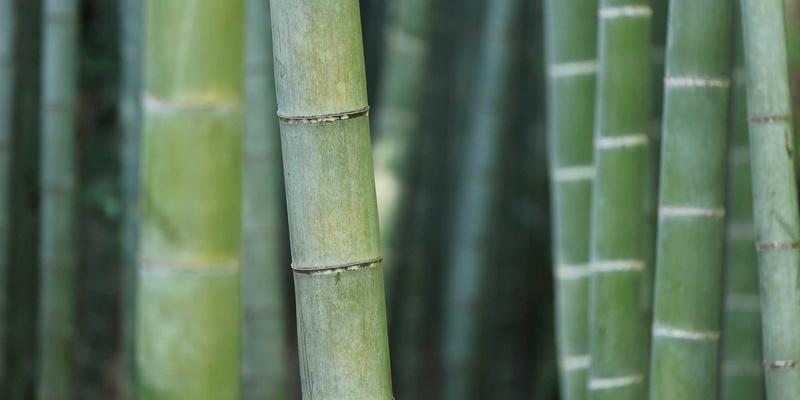 河南黄山日出日落全攻略：解锁四季绝佳观测点与摄影机位秘籍