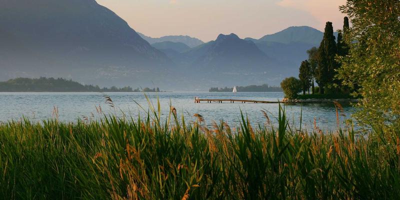 河南黄山避暑康养全攻略:解锁18℃清凉秘境,在“天然氧吧”中疗愈身心