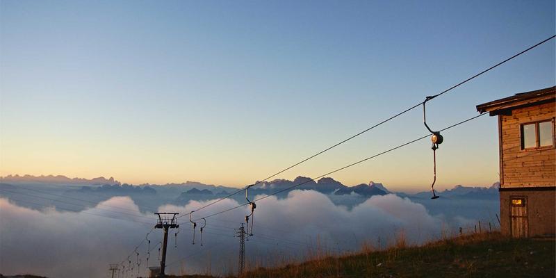 河南黄山野生动物观察全攻略:安全邂逅伏牛山精灵与观鸟秘境指南